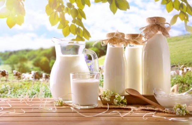 Sữa tươi là thực phẩm giúp tăng cân nhanh chóng